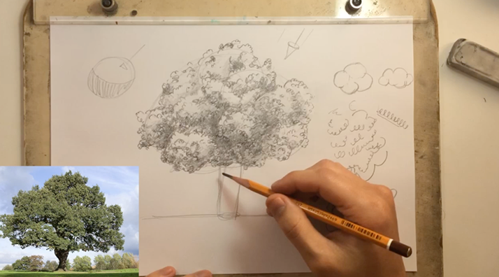 como desenhar uma copa de árvore