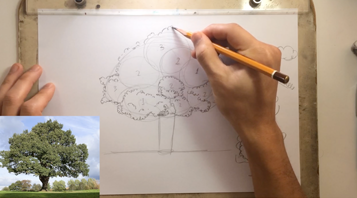 como desenhar árvores copa