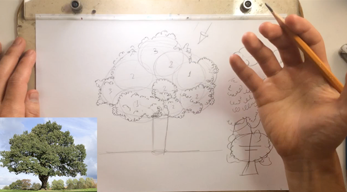 desenho de copa da árvore