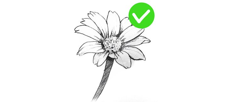 Como Desenhar Flores em 10 MINUTOS! (4 passos FÁCEIS)