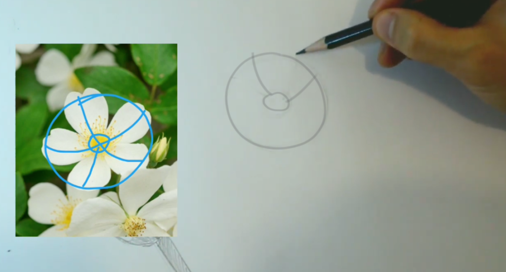 Como Desenhar Flores em MINUTOS passos FÁCEIS