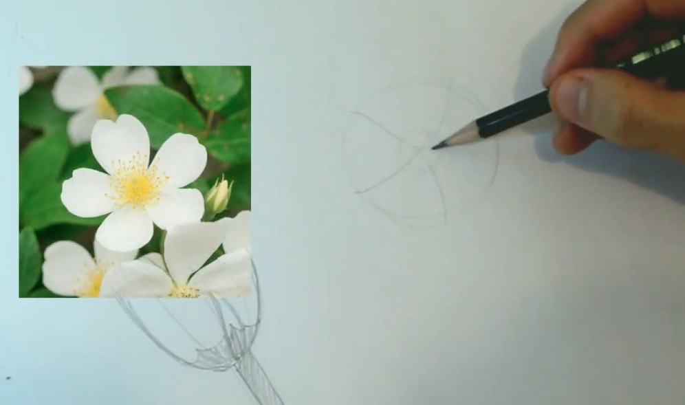 desenho de flor simples 