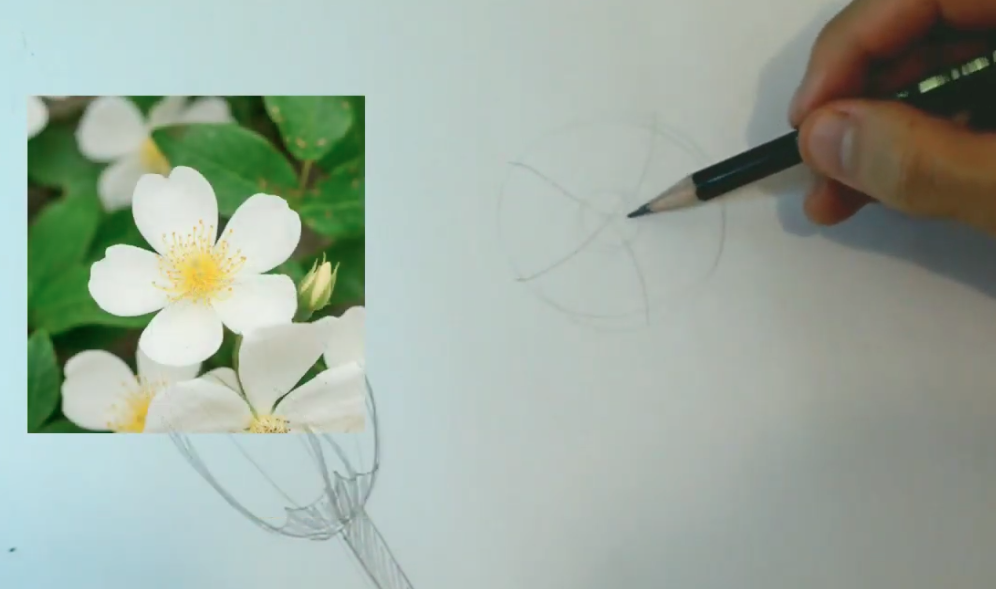 Como Desenhar Flores Em 10 Minutos 4 Passos FÁceis 