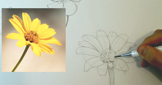  Qualquer pessoa pode desenhar flores: Tutorial de