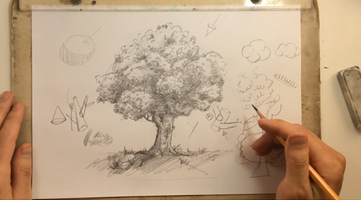 Como desenhar uma Árvore Realista - Passo a Passo 