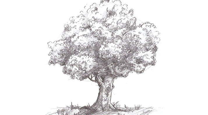 como desenhar uma árvore