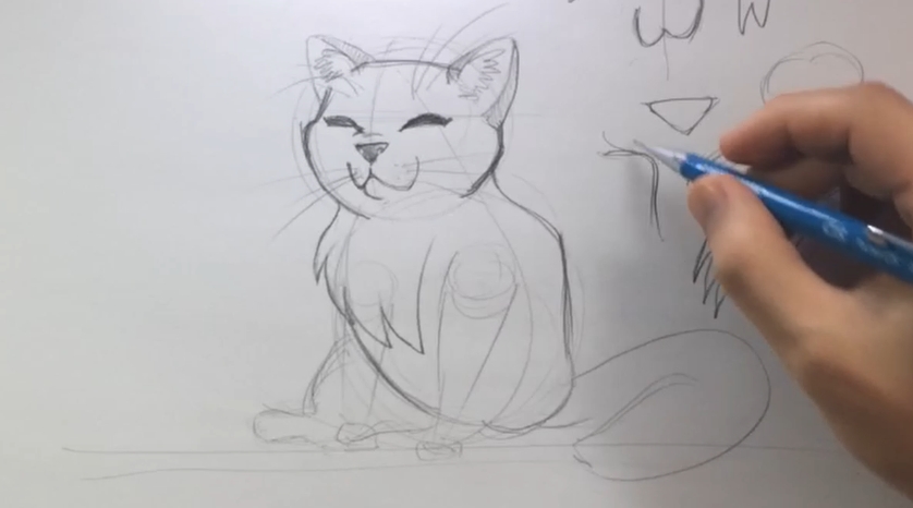 Como desenhar um gato 