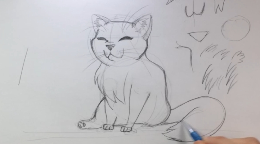 Como Desenhar um Gato - Esboço de um desenho de um Gato - Desenhos Realistas