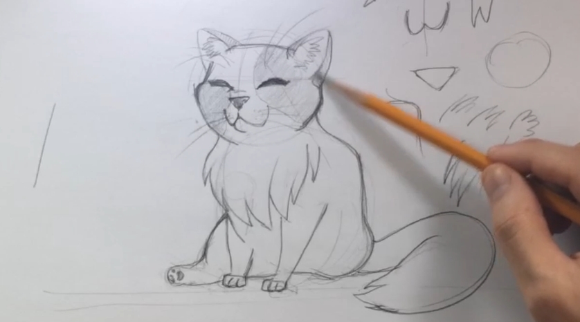 Como Desenhar um Gato - Esboço de um desenho de um Gato - Desenhos Realistas