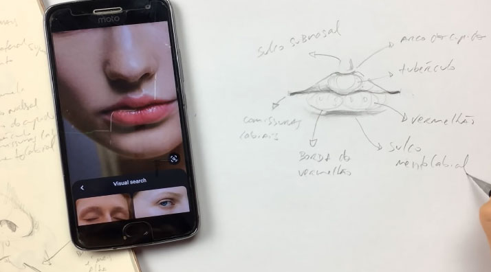 anatomia-para-desenho-boca-partes-inferiores-borda