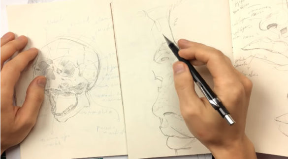 ANATOMIA PARA DESENHO: COMO ESTUDAR DO JEITO CERTO - Ricardo Yamaguchi
