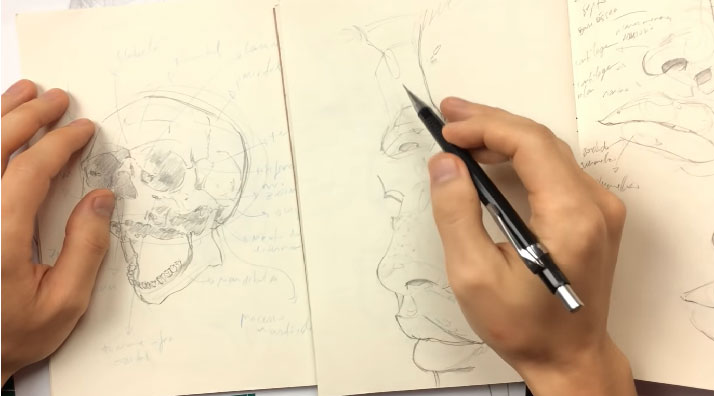 anatomia-para-desenho-esboco-nariz