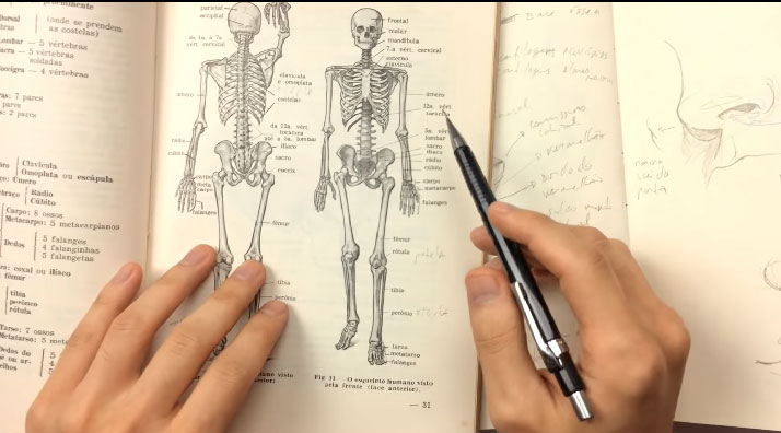 anatomia-para-desenho-livro-de-anatomia