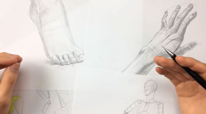 anatomia-para-desenho-estrutruas-anatomicas