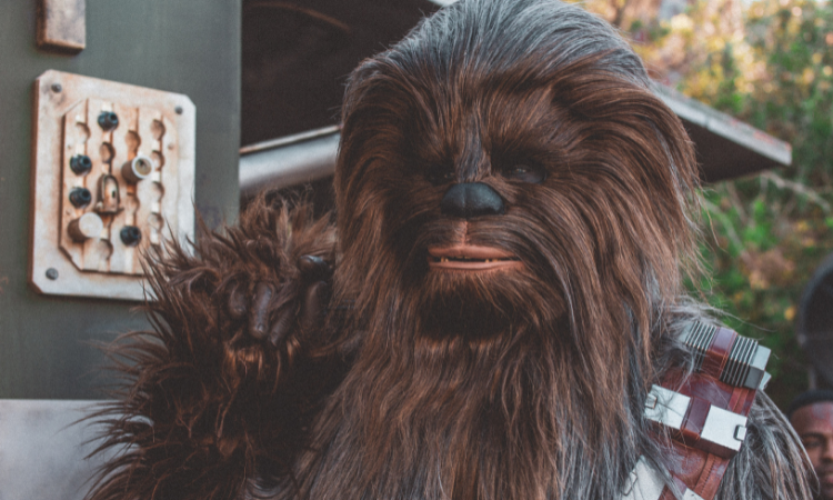 Chewbacca - linhas cabeludas